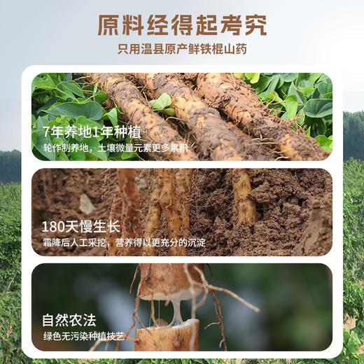 【怀生堂】鲜蒸铁棍山药粉，甄选垆土山药，鲜蒸工艺升级，口感更好营养更升级！每盒120g（10g*12条） 商品图3