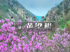 【黄梁根1日】北京最壮观最集中的杜鹃花-黄梁根11公里环穿<初级强度> 商品缩略图0