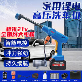 【货号02333】新款洗车机NSK锂电洗车机一电一充10节1500动力电池六档调节水流牧田插脚