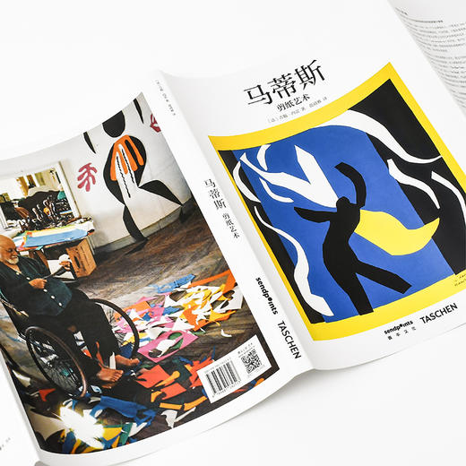 【SendPoints】【基础艺术2.0】马蒂斯剪纸艺术 原版简体中文艺术画册画集 商品图2