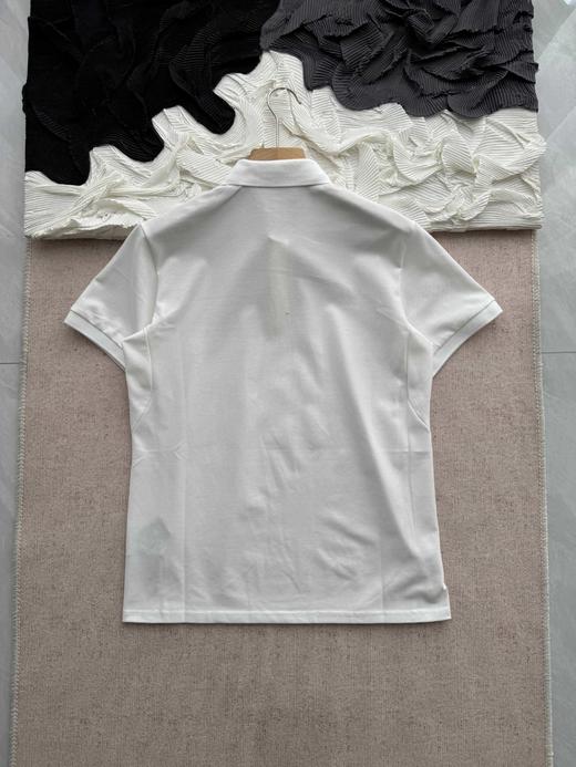 点此购买 迪桑特夏季男士综训防晒吸湿面料运动休闲翻领短袖POLO衫 LL 315114 商品图4