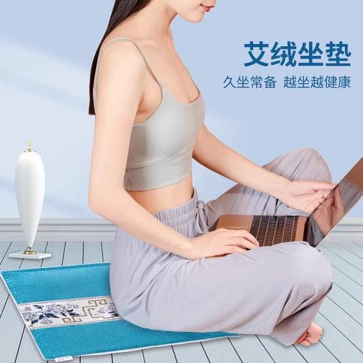 【升阳好物】艾修堂护理蕲艾绒坐垫  升级面料加量艾绒 商品图2