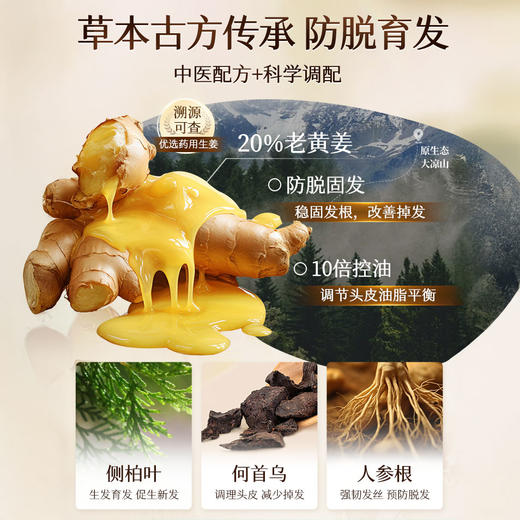 【下单赠烟酰胺补水面膜】欧橘Orginese 草本生姜防脱固发洗发水 啫喱质地 480ml/瓶 商品图2