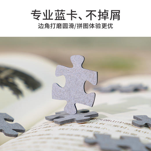 TOi图益-潮玩拼图东方风物系列-游园梦-1000片-分包款 商品图6