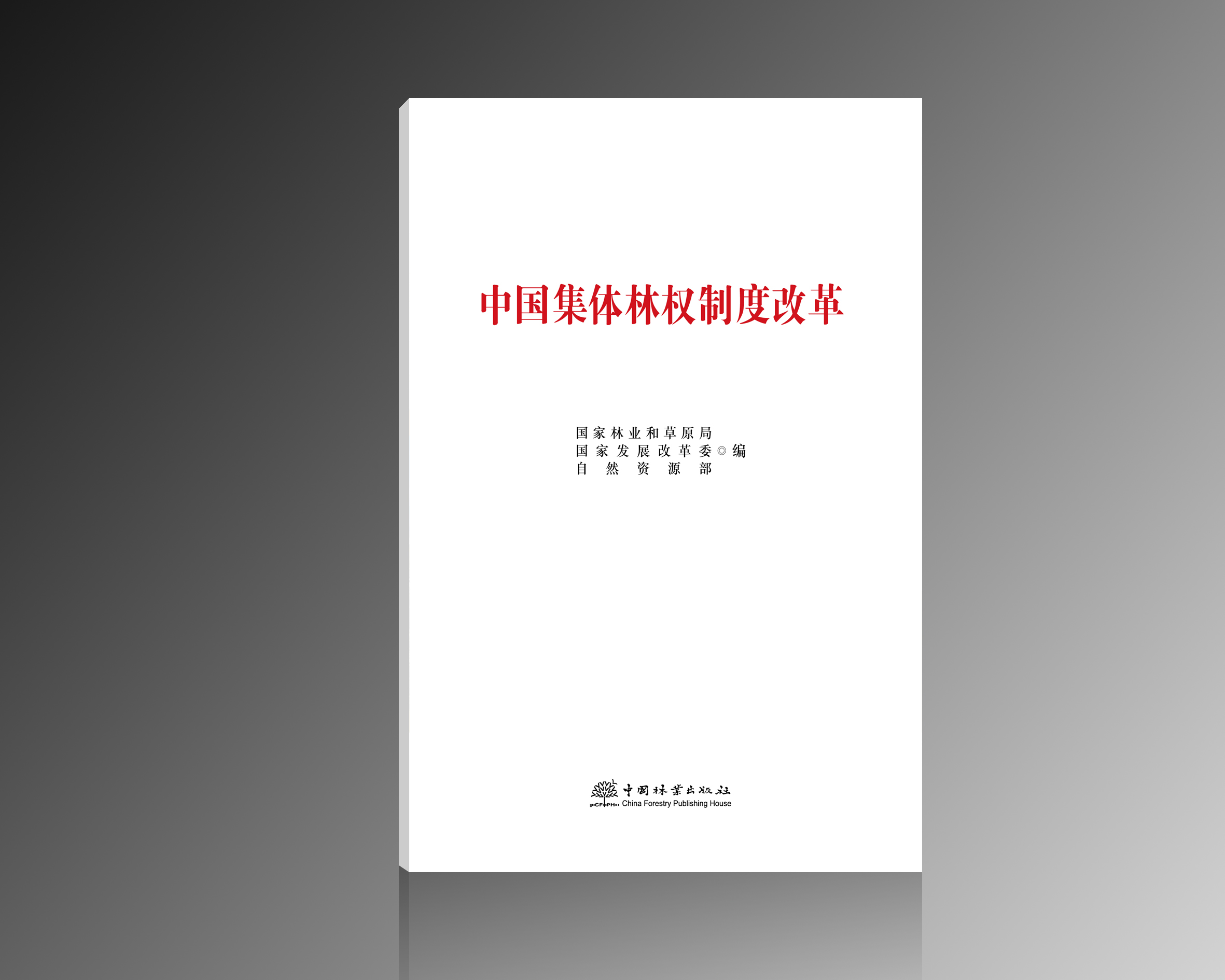 中国集体林权制度改革&2816
