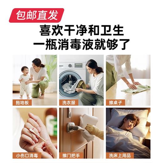 滴露 消毒液【包邮直发】 商品图2