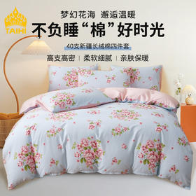泰嗨TAIHI 全棉印花床上四件套