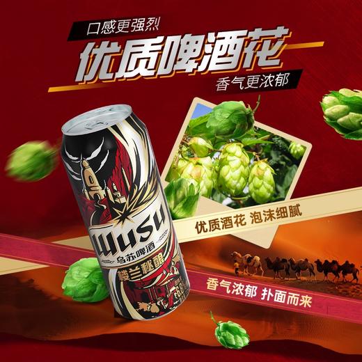 (范丞丞专属福利）乌苏啤酒红乌苏330ml*24+楼兰330ml*24+天山白330ml*12（含赠酒共72罐 商品图5