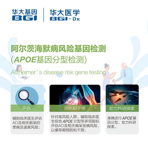 【基因检测·阿尔兹海默病风险】  APOE基因分型检测 商品图2