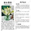 就卖2天【给家里换束花】超长待机 圣心百合（无香），5支，10支 商品缩略图2