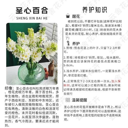 就卖2天【给家里换束花】超长待机 圣心百合（无香），5支，10支 商品图2