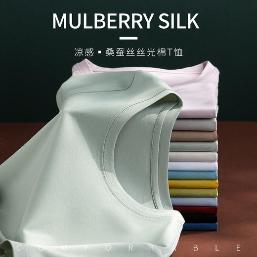 丁摩 桑蚕丝+丝光棉混纺凉感免烫夏季清凉丝滑T恤JSY170026 商品图1