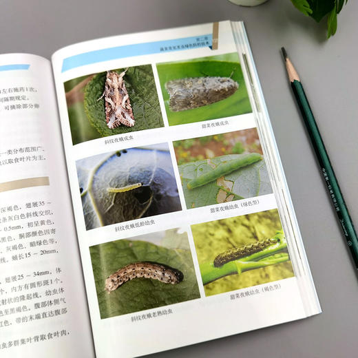蔬菜常见病虫草害绿色防控技术图谱【官方正版，可开发票】 商品图2