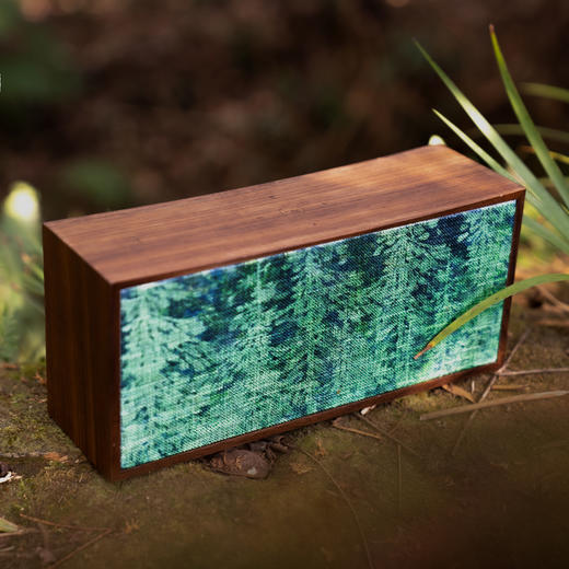 “自然樂”实木疗愈音乐盒 | 内置180余首原创音乐，九大场景，净化空间，滋养心田！蓝牙音箱 音乐盒 商品图3