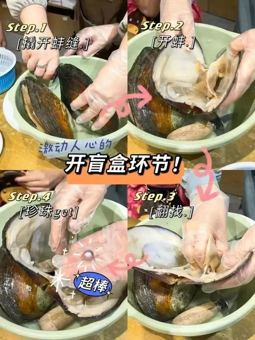 【智行研学】5.1研学“海的味道一日营”、“环湖骑行亲子2日营”、“'蚝'门盛宴亲子2日营”…… 商品图10