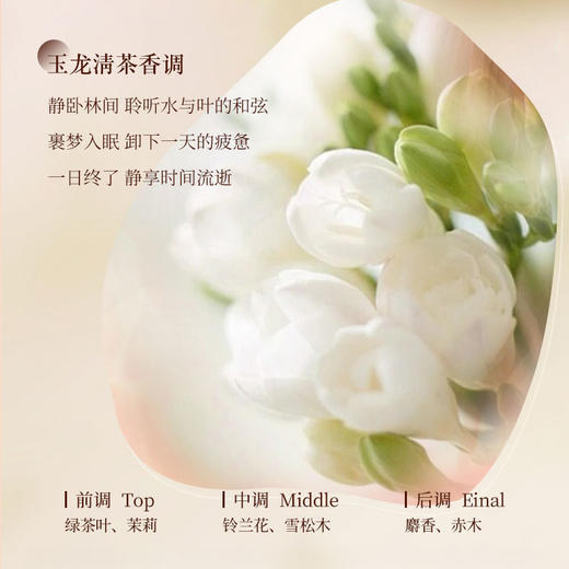 【下单赠烟酰胺补水面膜】欧橘Orginese 草本生姜防脱固发洗发水 啫喱质地 480ml/瓶 商品图4