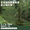 贵州绿茶雪芽2026年新茶特级一级嫩香持久鲜醇回甘 商品缩略图5
