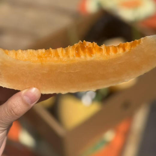 胜杰蜜瓜🍈甜如蜜--甘甜醇厚甜度可达17°+；汁水多--果汁充盈 脆爽可口 ；香味浓--甜香袭人 果香奶香 交融这就是嘎嘎脆甜👑丝路晓蜜®🍈 商品图11