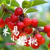 米易小樱桃200g/盒 商品缩略图4