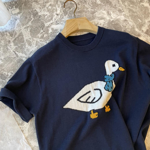 无敌了！2025新款上身巨减龄萌趣小鸭子提花圆领宽松套头短袖针织衫！ 商品图0