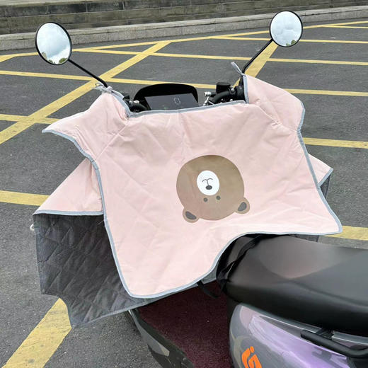【YW】无忧购电动车挡风被薄款夏季防晒双面防水（截单后7天发货) 商品图11