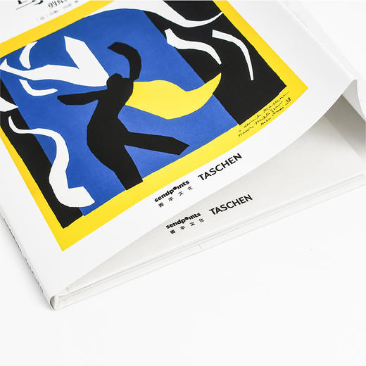 【SendPoints】【基础艺术2.0】马蒂斯剪纸艺术 原版简体中文艺术画册画集 商品图3