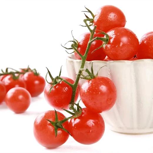 新鲜水果  串收番茄千禧果  500g/盒 商品图1