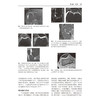 骨骼肌肉系统MRI结构化评估 如何实用地填写报告 袁慧书 程晓光 主译 肌肉骨骼系统-核磁共振成像 影像学 北京大学医学出版社 商品缩略图4