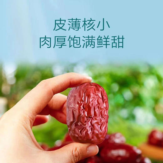 天边小宛·精选且末有机灰枣·1kg  皮薄核小 肉厚饱满鲜甜 商品图4