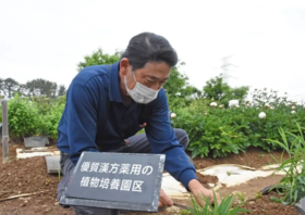  100杯枸杞水，不如这个“肝脏大救星”！“肝”净后脸不黄、不烦躁、眼睛也亮了 