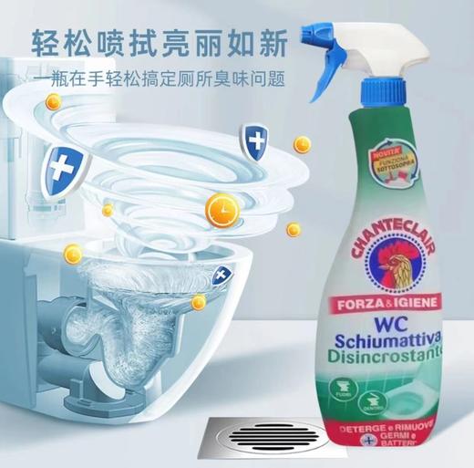 大公鸡马桶清洁剂（漂白）（除垢）625ml 商品图1