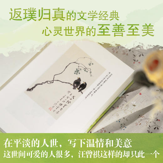人间草木 典藏版 商品图2