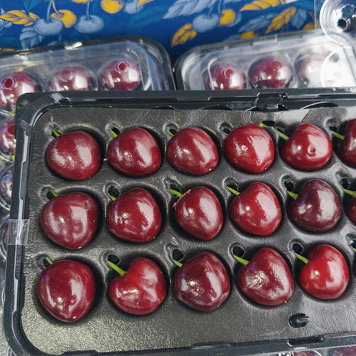 大连美早3J樱桃 21粒约220g  |水果 商品图1