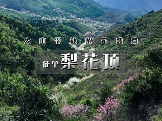 【梨花顶1日】千树万树梨花开の梨寨-梨花顶 10公里户外穿越 商品图0