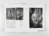 全新现货丨观象敦煌：石窟的观看、研究与保护/Visualizing Dunhuang: Seeing, Studying, and Conserving the Caves 商品缩略图3