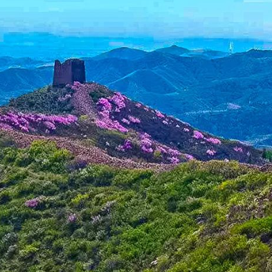 周末1天【青边口长城】长城看榆叶梅-长城要塞历史风韵-12公里环穿<初级>