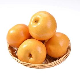新鲜水果  新鲜水果 清甜可口南水梨6.9元/斤 3斤装（称重退差，多退少补）