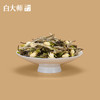 白大师白茶正宗福鼎白茶2021年冷萃茉莉白牡丹散茶80g 商品缩略图4