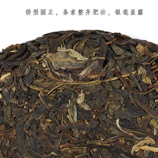 中粮-中茶大叶青饼380克 2007年中茶老生茶/云南干仓直发 商品图4