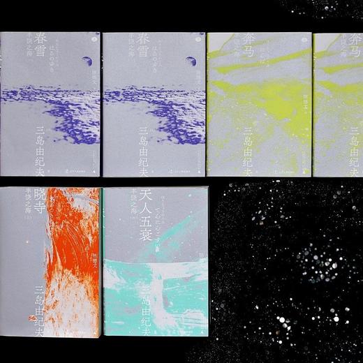 三岛由纪夫经典作品函套装（丰饶之海四部曲+金阁寺） 商品图2