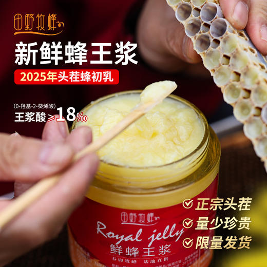 【2025新采头茬春浆】田野牧蜂蜂王浆新鲜王浆天然蜂皇浆旗舰店正品蜂乳 商品图1
