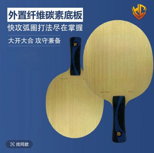 【金满贯刘丁硕特注】蓝芳碳外置纤维碳素专业乒乓球底板乒乓球拍 商品图0