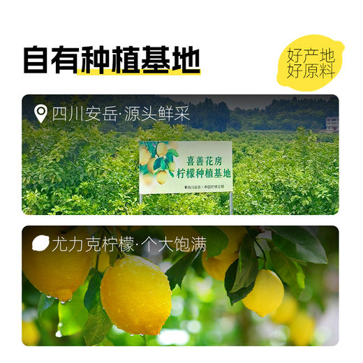【喜善花房】冻干柠檬片50g*3袋 商品图1