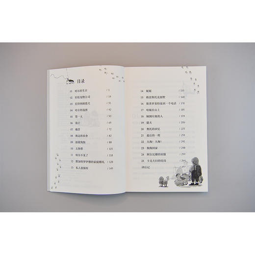 【独秀书香卡】魔法象·故事森林  狗和他的男孩 8~14岁及以上 儿童小说 儿童文学 商品图4