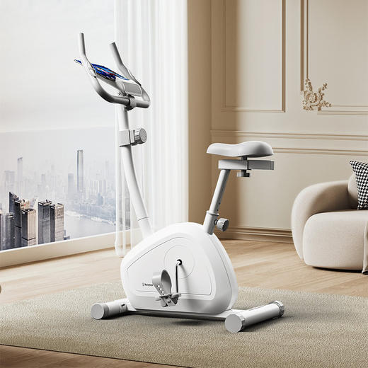 西屋 磁控动感单车WB18-WH【鲜知20.0】 商品图1