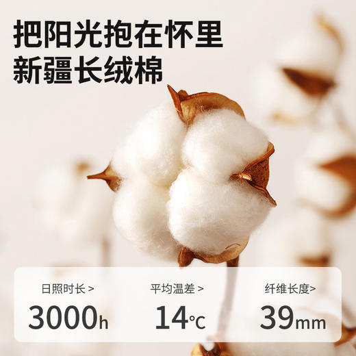 泰嗨TAIHI 全棉印花床上四件套 商品图1