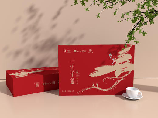 0599【国企严选，山海食材】一诺千金（大红袍）8.3g*6泡 商品图0