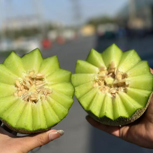 晓蜜青帝蜜瓜🍈 商品图2