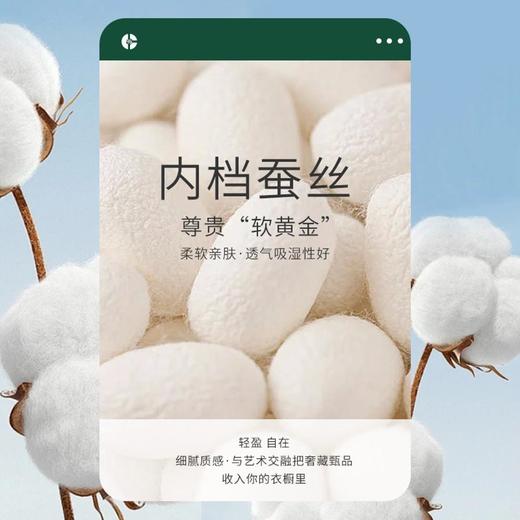 3楼 歌帝【三条礼盒装】水柔棉男平角裤 GDB82505S 商品图3