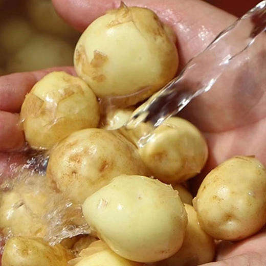 【地标特产】恩施小土豆18.9元5斤 商品图2